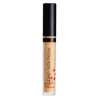 Geisha Lift Concealer