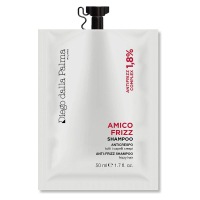 Amico Frizz Shampoo Anticrespo