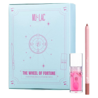 THE WHEEL OF FORTUNE KIT