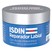 REPARADOR LABIAL