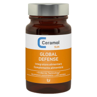 SUN GLOBAL DEFENSE INTEGRATORE