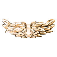 ZADIG EAU DE PARFUM INTENSE