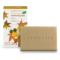 AMBRALIQUIDA SAPONE SOLIDO