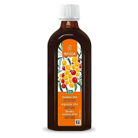 La Mia Bevanda Immunitaria all'Olivello Spinoso