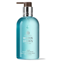 COASTAL CYPRESS & SEA FENNEL FINE LIQUID HAND WASH