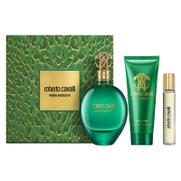 COFANETTO VERDE ASSOLUTO