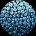 BLEU ASTRAL