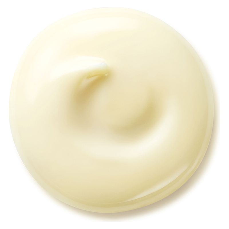 Shiseido Benefiance Wrinkle Smoothing Day Cream Spf25