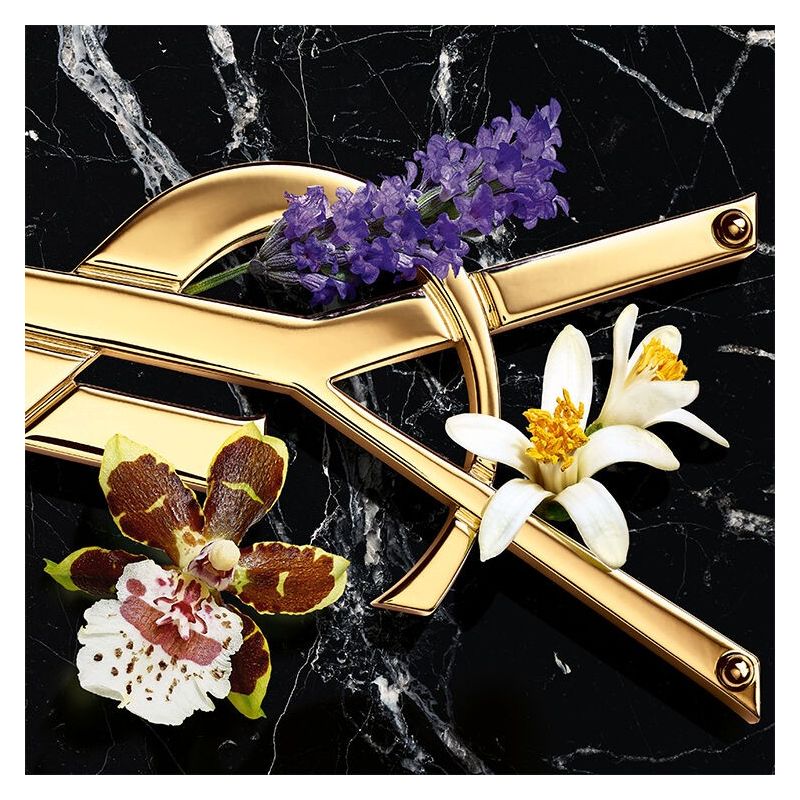 Yves Saint Laurent Libre Intense, Eau de Parfum Donna, 50 ml Spray, Profumo Ambrato Fougère, Fragranza floreale sensuale con Lavanda e Vaniglia Yves Saint Laurent Libre Intense, Eau de Parfum Donna, 50 ml Spray, Profumo Ambrato Fougère, Fragranza floreale sensuale con Lavanda e Vaniglia