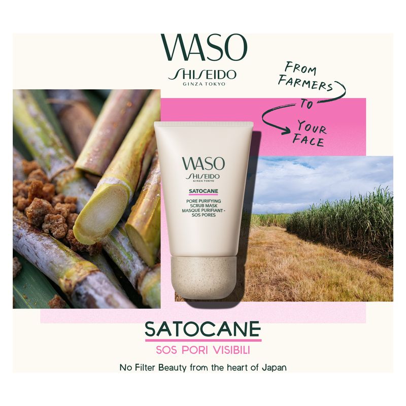 Shiseido WASO SATOCANE PORE PURIFYING SCRUB MASK