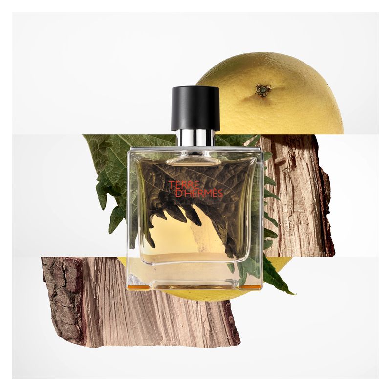 Hermès Terre D'hermes Parfum