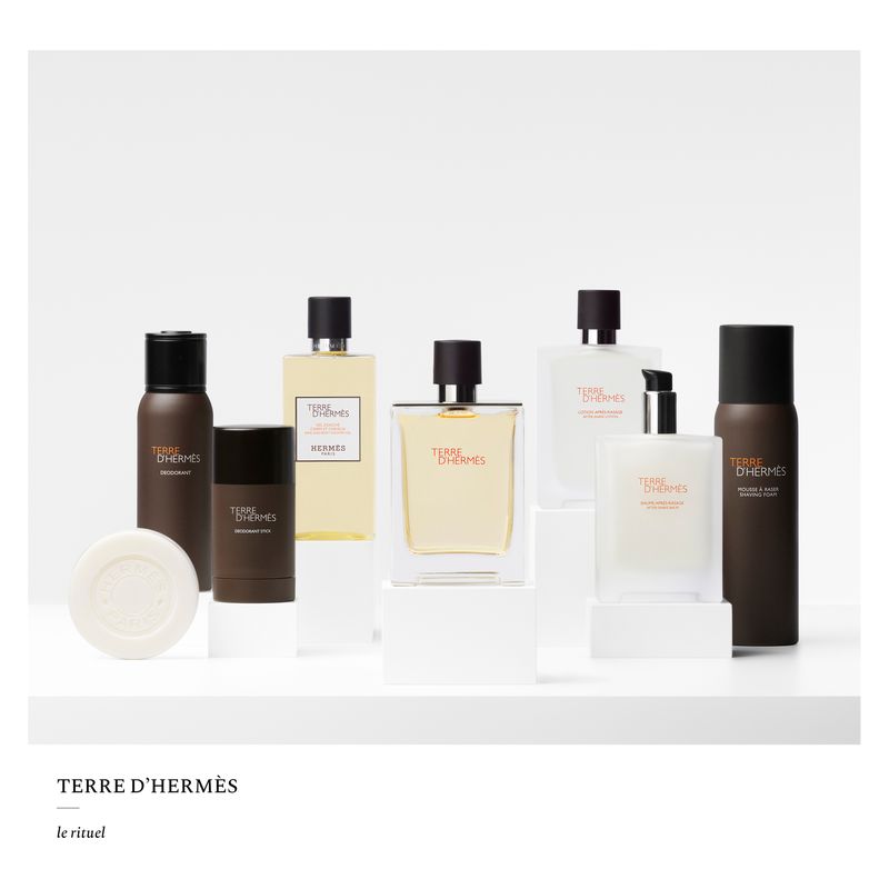 Hermès Terre D'hermes Deodorant Vapo