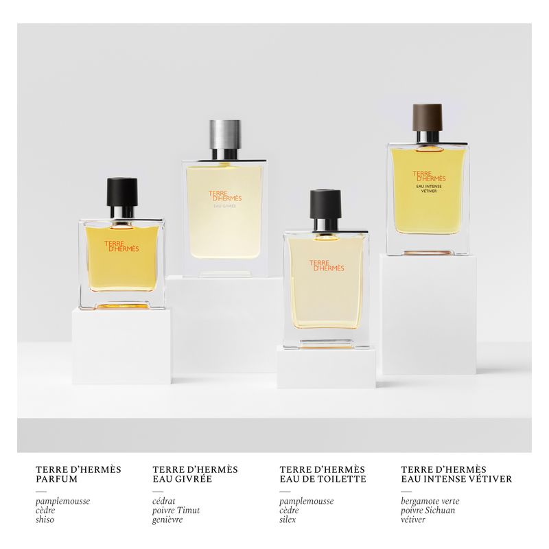 Hermès Terre d'Hermès, Eau de Toilette Uomo, 125 ml Ricarica, Profumo Maschile Legnoso Speziato con note di Pompelmo, Cedro e Pepe Hermès Terre d'Hermès, Eau de Toilette Uomo, 125 ml Ricarica, Profumo Maschile Legnoso Speziato con note di Pompelmo, Cedro e Pepe