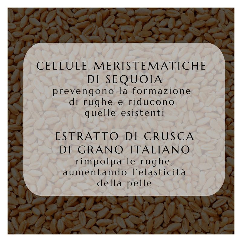 Collistar Uomo Anti-Età Crema Rivitalizzante Antirughe, Crema Viso Uomo, 50 ml, Trattamento Tonificante e Idratante, Adatta a pelli anche sensibili