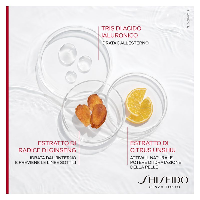 Shiseido Essential Energy Hydrating Day Cream