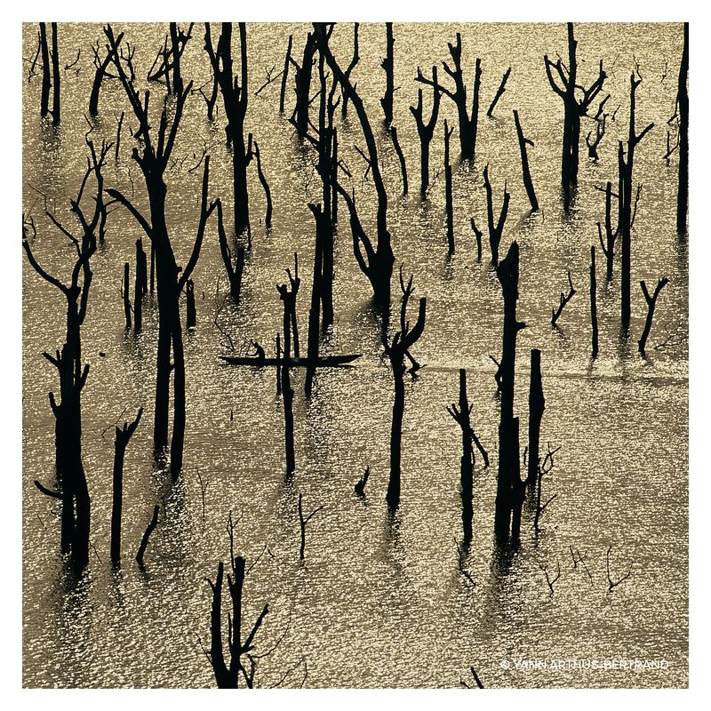 Guerlain Aqua Allegoria Rosa Rossa Forte, Eau de Parfum Donna, 125 ml, Spray, Profumo Floreale Fruttato con note di Rosa e Pesca Guerlain Aqua Allegoria Rosa Rossa Forte, Eau de Parfum Donna, 125 ml, Spray, Profumo Floreale Fruttato con note di Rosa e Pesca