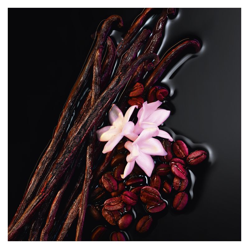 Yves Saint Laurent Black Opium Le Parfum, Le Parfum Donna, 50 ml Spray, Intensa Fragranza Ambrato Vanigliato, Profumo Femminile Gourmand