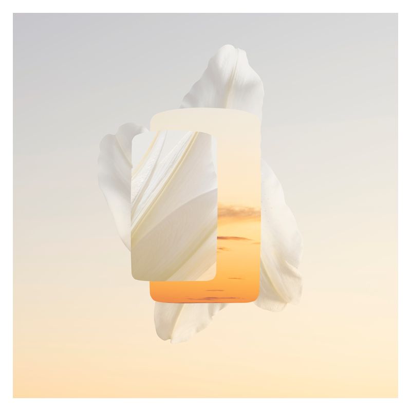 Cartier Baiser Volé Parfum