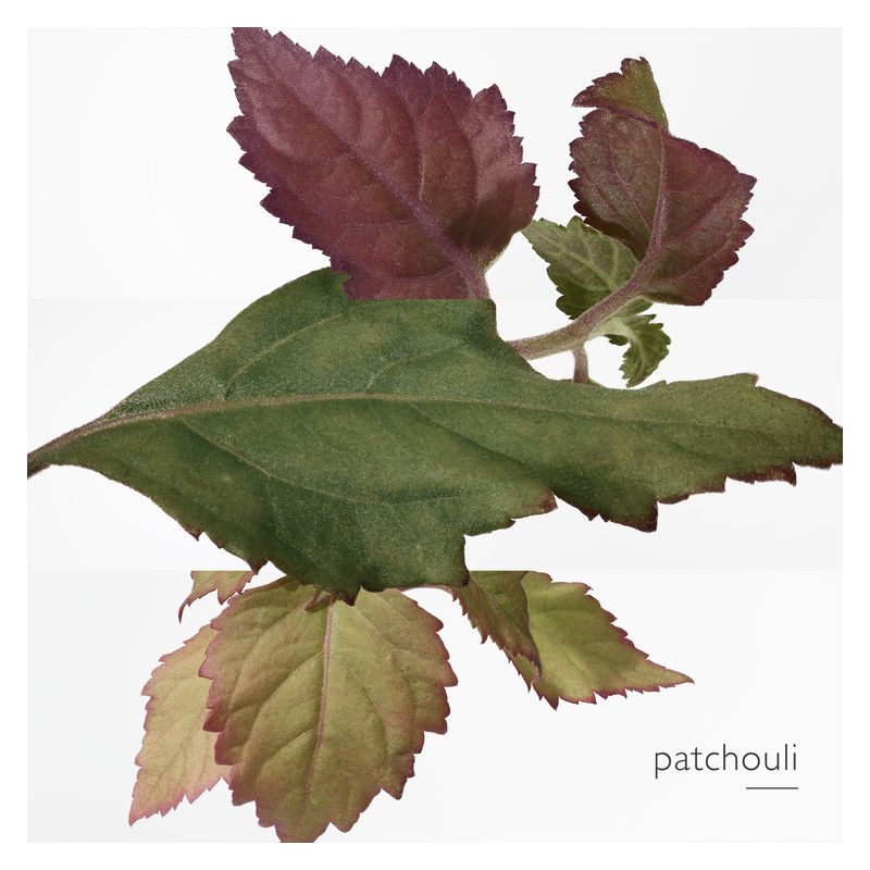 Hermès Eau Des Merveilles Bleue, Eau de Toilette Donna, 30 ml Spray, Profumo Boisé Minerale con Note Acquatiche, Legnose e Patchouli