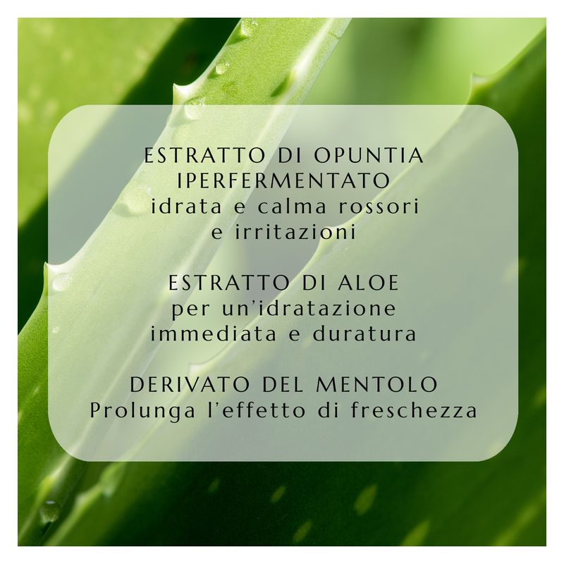 Collistar Uomo Hydro-Gel Dopobarba Effetto Fresco, Dopobarba in Gel Uomo, 100 ml, Lenitivo e Idratante, Senza Alcool, Trattamento post rasatura Collistar Uomo Hydro-Gel Dopobarba Effetto Fresco, Dopobarba in Gel Uomo, 100 ml, Lenitivo e Idratante, Senza Alcool, Trattamento post rasatura
