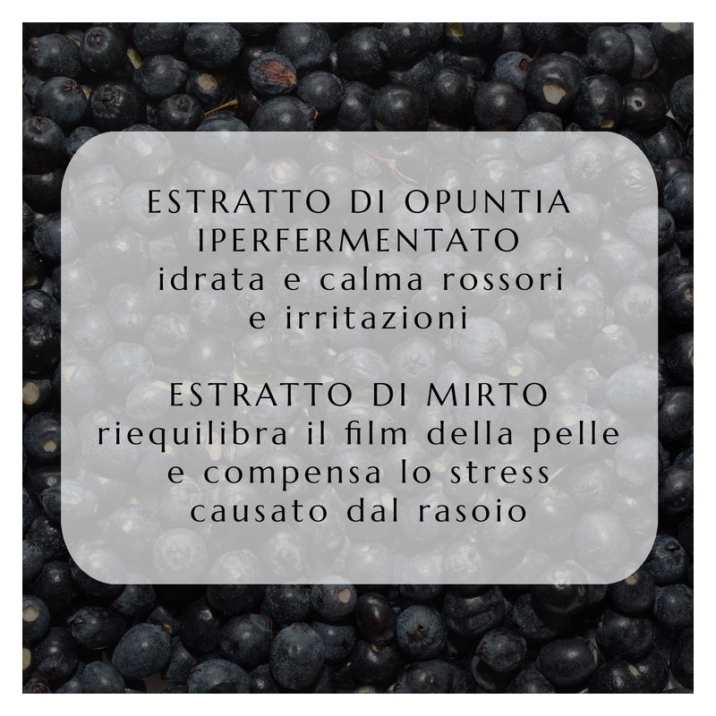 Collistar Uomo Balsamo Dopobarba Riparatore, Dopobarba Uomo per Pelli Sensibili, 100 ml, Azione Idratante e Lenitiva, Formula Riparatrice Senza Alcool Collistar Uomo Balsamo Dopobarba Riparatore, Dopobarba Uomo per Pelli Sensibili, 100 ml, Azione Idratante e Lenitiva, Formula Riparatrice Senza Alcool