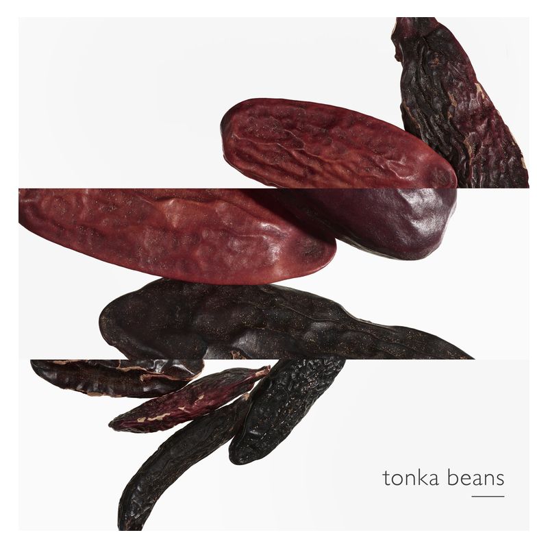 Hermès L'Ombre des Merveilles, Eau de Parfum Unisex, 30 ml Spray, Profumo Ambrato Legnoso con Tè Nero e Fava Tonka, Fragranza Orientale Intensa