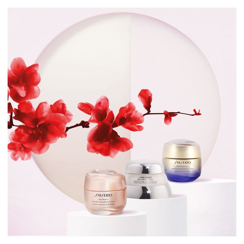 Shiseido COFANETTO VITAL PERFECTION