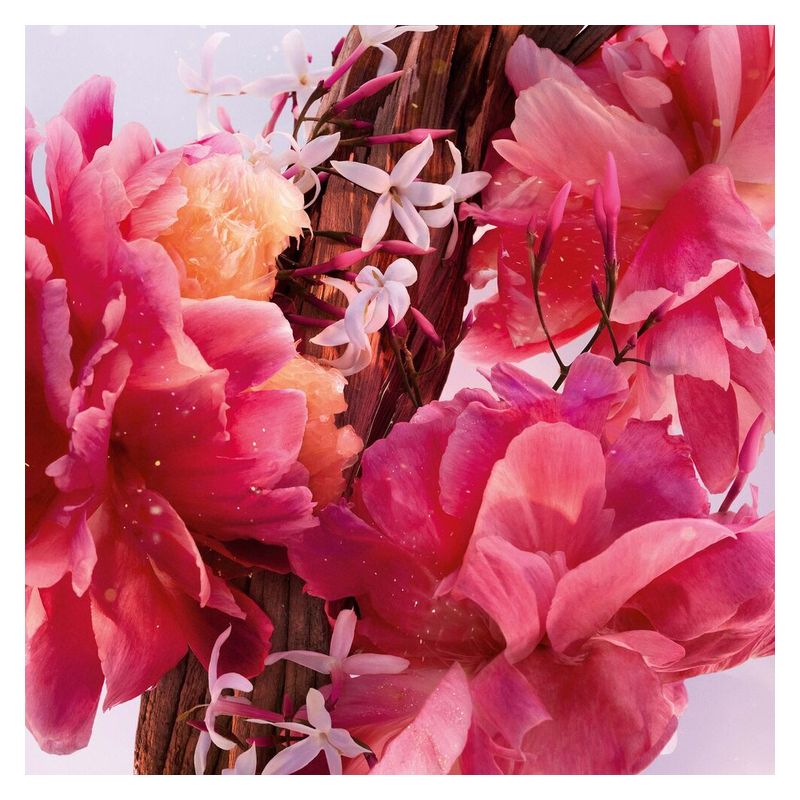 DIOR Miss Dior Parfum, Roller-Pearl Donna, 20 ml, Formato da Viaggio, Intensa Fragranza Floreale, Fruttata e Legnosa, Profumo Gourmand