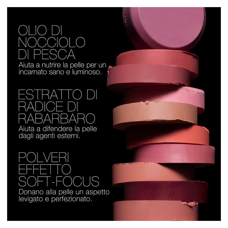 NARS The Multiple
