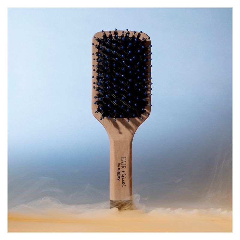 Sisley Hair Rituel La Brosse De Poche, Spazzola da Viaggio Brillance & Douceur, Setole di Cinghiale, Per Tutti i Tipi di Capelli, Unisex Sisley Hair Rituel La Brosse De Poche, Spazzola da Viaggio Brillance & Douceur, Setole di Cinghiale, Per Tutti i Tipi di Capelli, Unisex