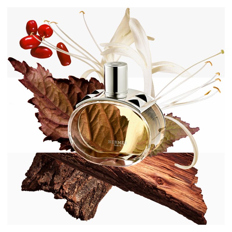 Hermès BRUME PARFUMÉE POUR CHEVEUX