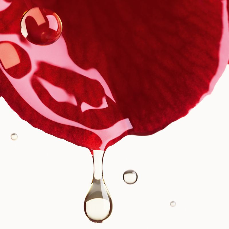 CHANEL N°1 DE CHANEL SIERO BRUME ALLA CAMELIA ROSSA