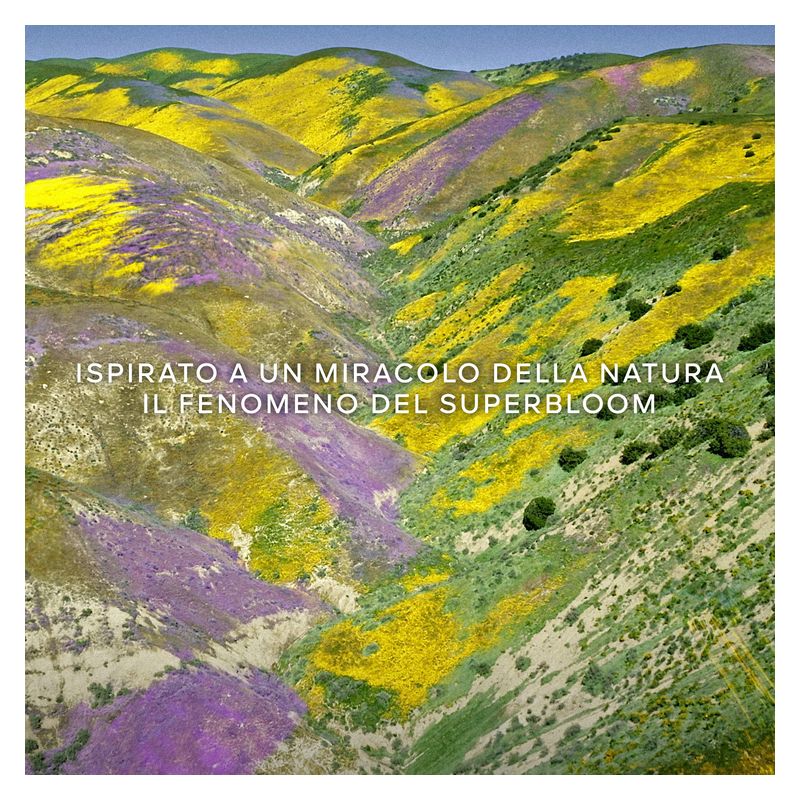 Guerlain Aqua Allegoria Florabloom, Eau de Toilette Donna, 40 ml Spray, Profumo Floreale Fruttato con note di Tuberosa, Mango e Muschio Bianco