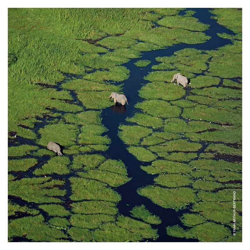 Guerlain Aqua Allegoria Mandarine Basilic, Eau de Toilette Donna, 40 ml Spray, Fragranza agrumata e aromatica, Profumo femminile fresco e frizzante Guerlain Aqua Allegoria Mandarine Basilic, Eau de Toilette Donna, 40 ml Spray, Fragranza agrumata e aromatica, Profumo femminile fresco e frizzante