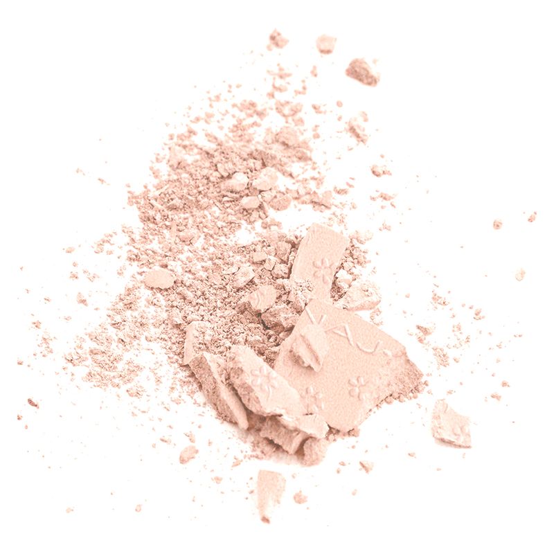 NAJ·OLEARI Skin Caress Pressed Powder, Cipria Compatta Uniformante e Opacizzante Donna, 9.5 g, Colore 00 Sand Rose, Finish Naturale per Viso NAJ·OLEARI Skin Caress Pressed Powder, Cipria Compatta Uniformante e Opacizzante Donna, 9.5 g, Colore 00 Sand Rose, Finish Naturale per Viso