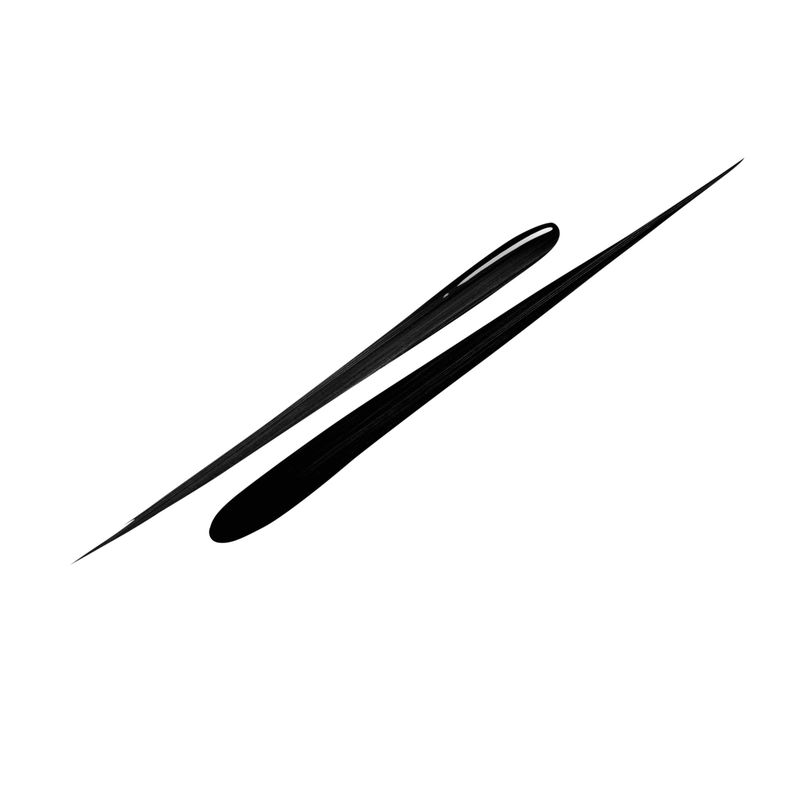 CHANEL - LE LINER DE CHANEL