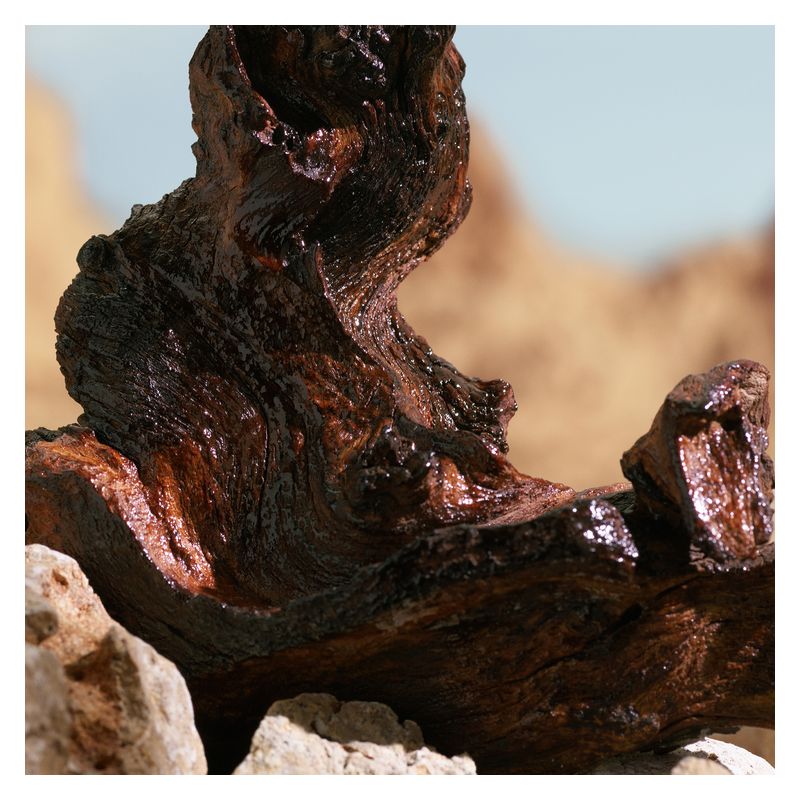 Dolce & Gabbana - K POUR HOMME ELIXIR