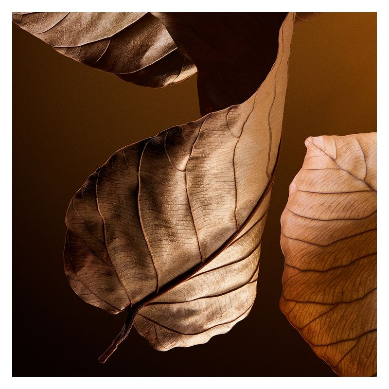 Dolce & Gabbana - The One Pour Homme Eau De Parfum