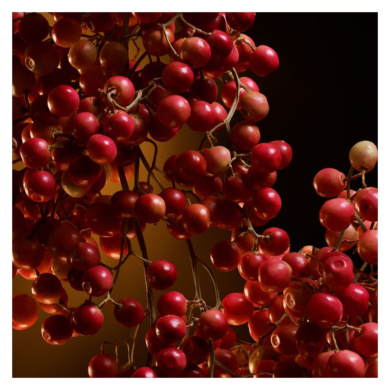 Dolce & Gabbana The One Eau de Parfum Intense Donna, 30 ml Spray, Profumo Ambrato Floreale con Vaniglia, Gelsomino e Pepe Rosa