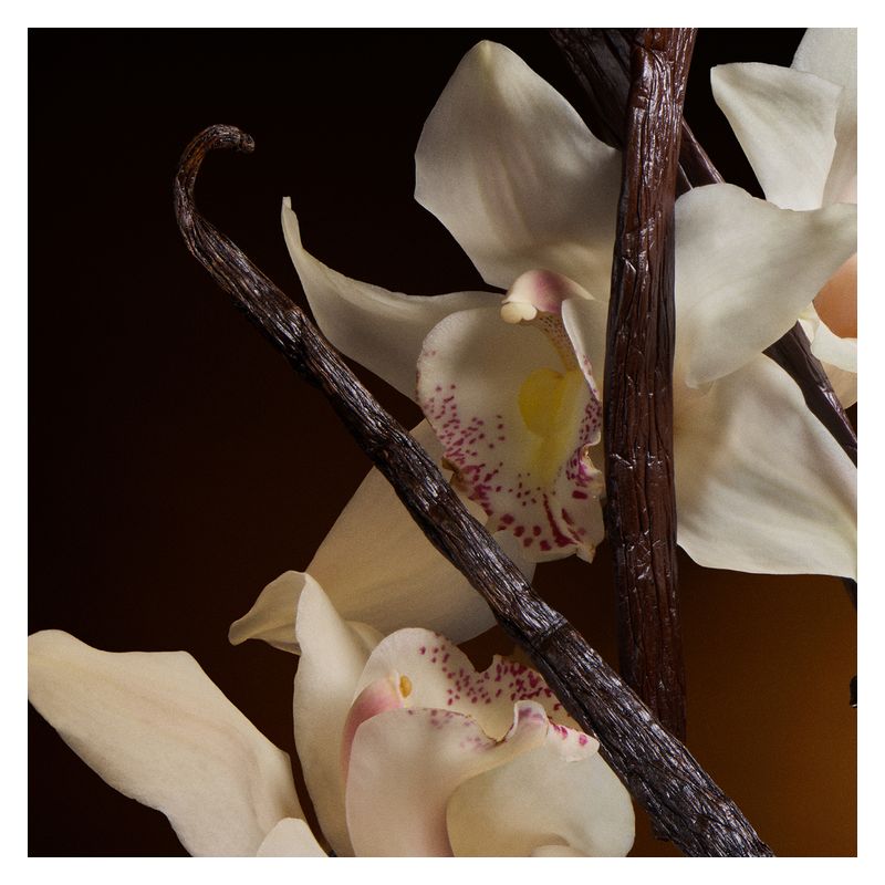 Dolce & Gabbana The One Eau de Parfum Intense Donna, 30 ml Spray, Profumo Ambrato Floreale con Vaniglia, Gelsomino e Pepe Rosa