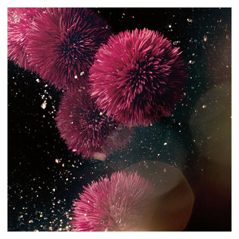 LA MER - GENAISSANCE THE INFUSED LOTION