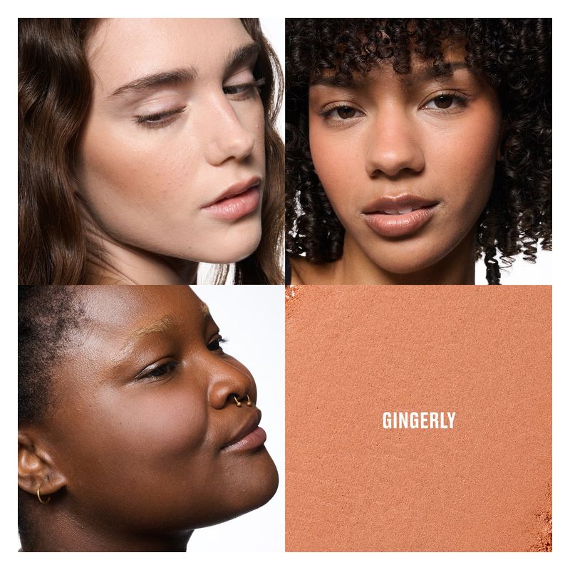 MAC - Skinfinish Colourstruck Blush - Blush in polvere effetto blur MAC - Skinfinish Colourstruck Blush - Blush in polvere effetto blur