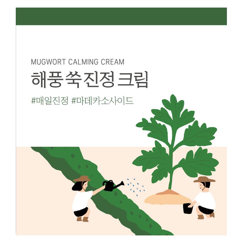 ROUNDLAB - MUGWORT CALMING CREAM