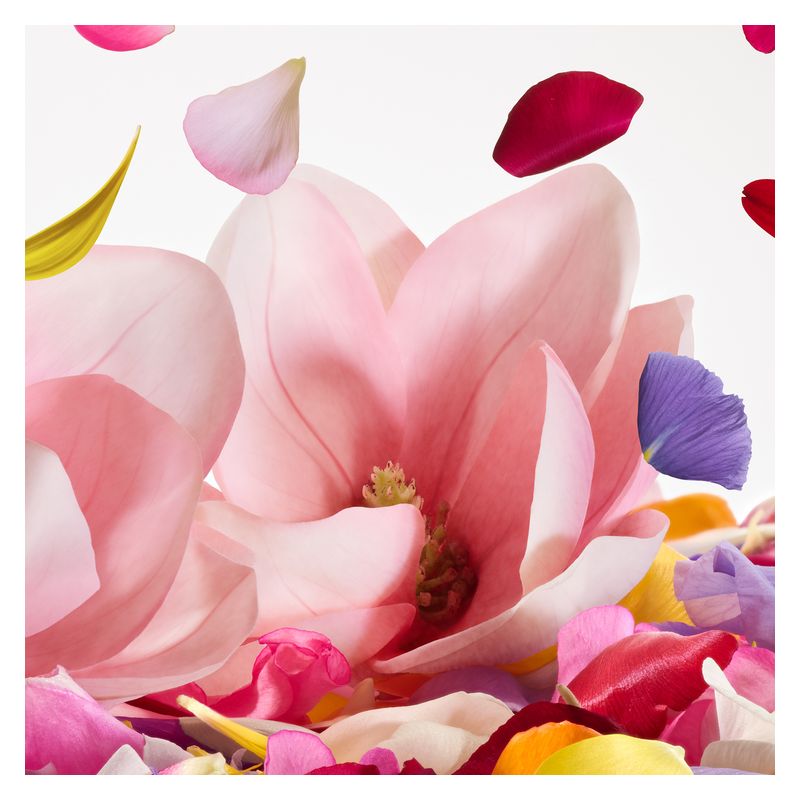 Dolce & Gabbana - DOLCE MAGNOLIA EAU DE PARFUM