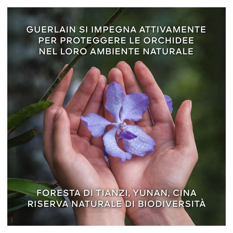 Guerlain - ORCHIDÉE IMPÉRIALE LA CRÈME LÉGÈRE DE LONGÉVITÉ