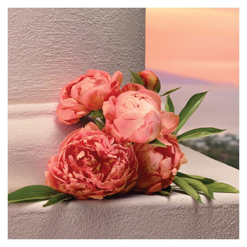 Dolce & Gabbana - MY DEVOTION EAU DE PARFUM INTENSE