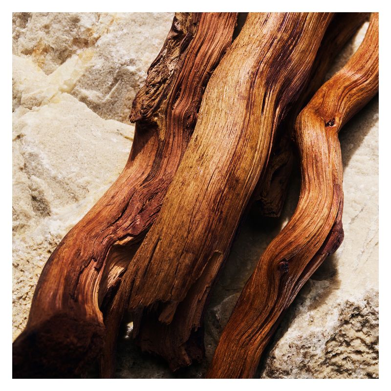 Dolce & Gabbana - LIGHT BLUE EAU DE PARFUM