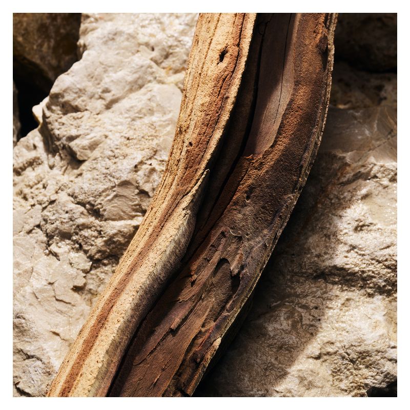 Dolce & Gabbana - LIGHT BLUE POUR HOMME EAU DE PARFUM Dolce & Gabbana - LIGHT BLUE POUR HOMME EAU DE PARFUM