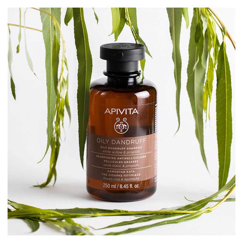 APIVITA - OILY DANDRUFF SHAMPOO WHITE WILLOW & PROPOLIS APIVITA - OILY DANDRUFF SHAMPOO WHITE WILLOW & PROPOLIS