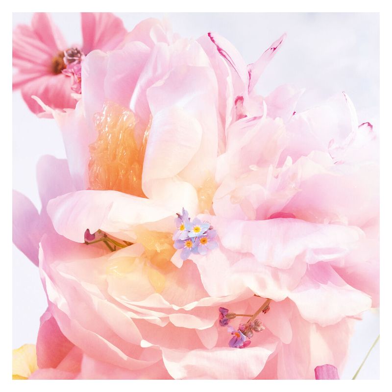 DIOR - Miss Dior Blooming Bouquet Roller-Pearl Eau de toilette – note floreali fresche e delicate